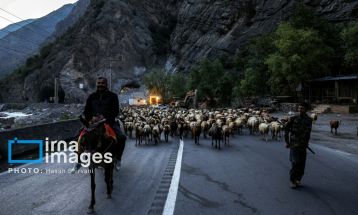 «جاده چالوس»؛ گذرگاه بهاری عشایر