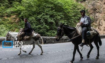 «جاده چالوس»؛ گذرگاه بهاری عشایر