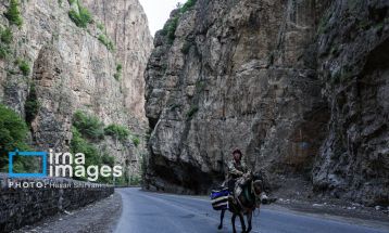 «جاده چالوس»؛ گذرگاه بهاری عشایر