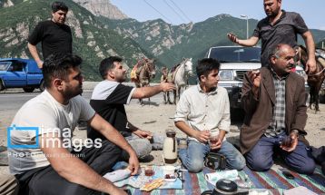 «جاده چالوس»؛ گذرگاه بهاری عشایر