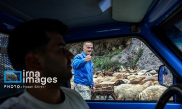 «جاده چالوس»؛ گذرگاه بهاری عشایر