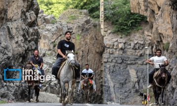 «جاده چالوس»؛ گذرگاه بهاری عشایر