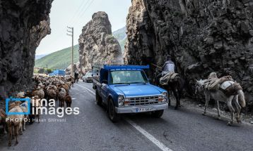 «جاده چالوس»؛ گذرگاه بهاری عشایر