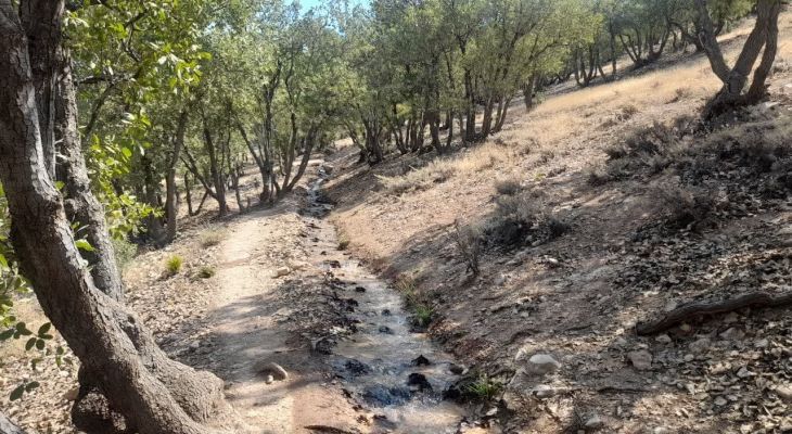 سرنوشت غم‌انگیز مسیر کوهنوردی یاسوج