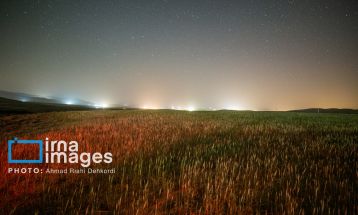 بارش شهابی برساوشی