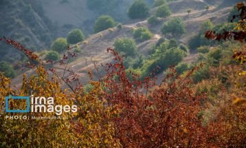 خشکسالی در جنگل‌های هیرکانی گلستان