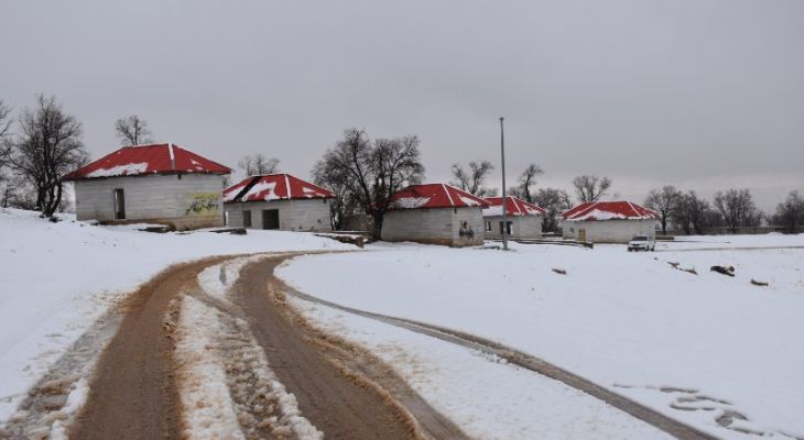 بارندگی در یاسوج؛ پارک جنگلی سفیدپوش شد