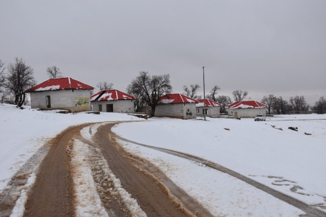 بارندگی در یاسوج؛ پارک جنگلی سفیدپوش شد