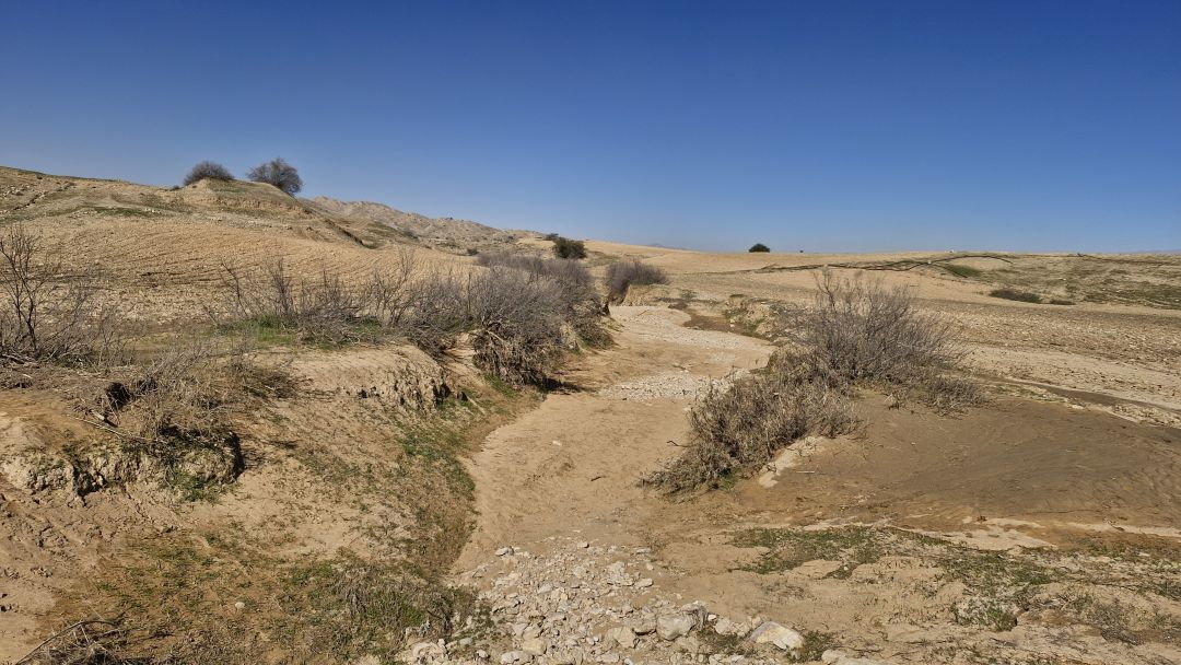 زمین‌های کشاورزی «برج بهمنی» در معرض خطر