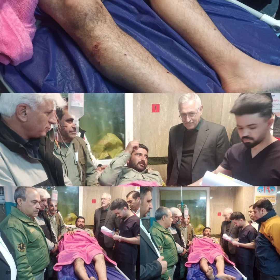 مجروح شدن یک محیط‌بان و فرار متخلفان