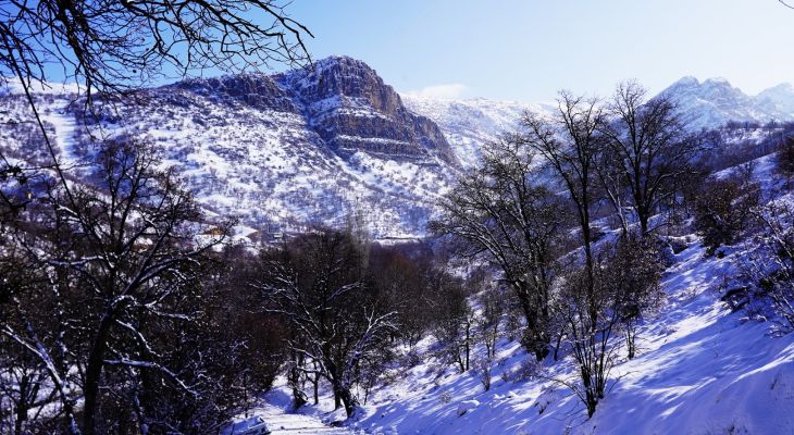 یاسوج زیر چتر برف زمستان+تصاویر