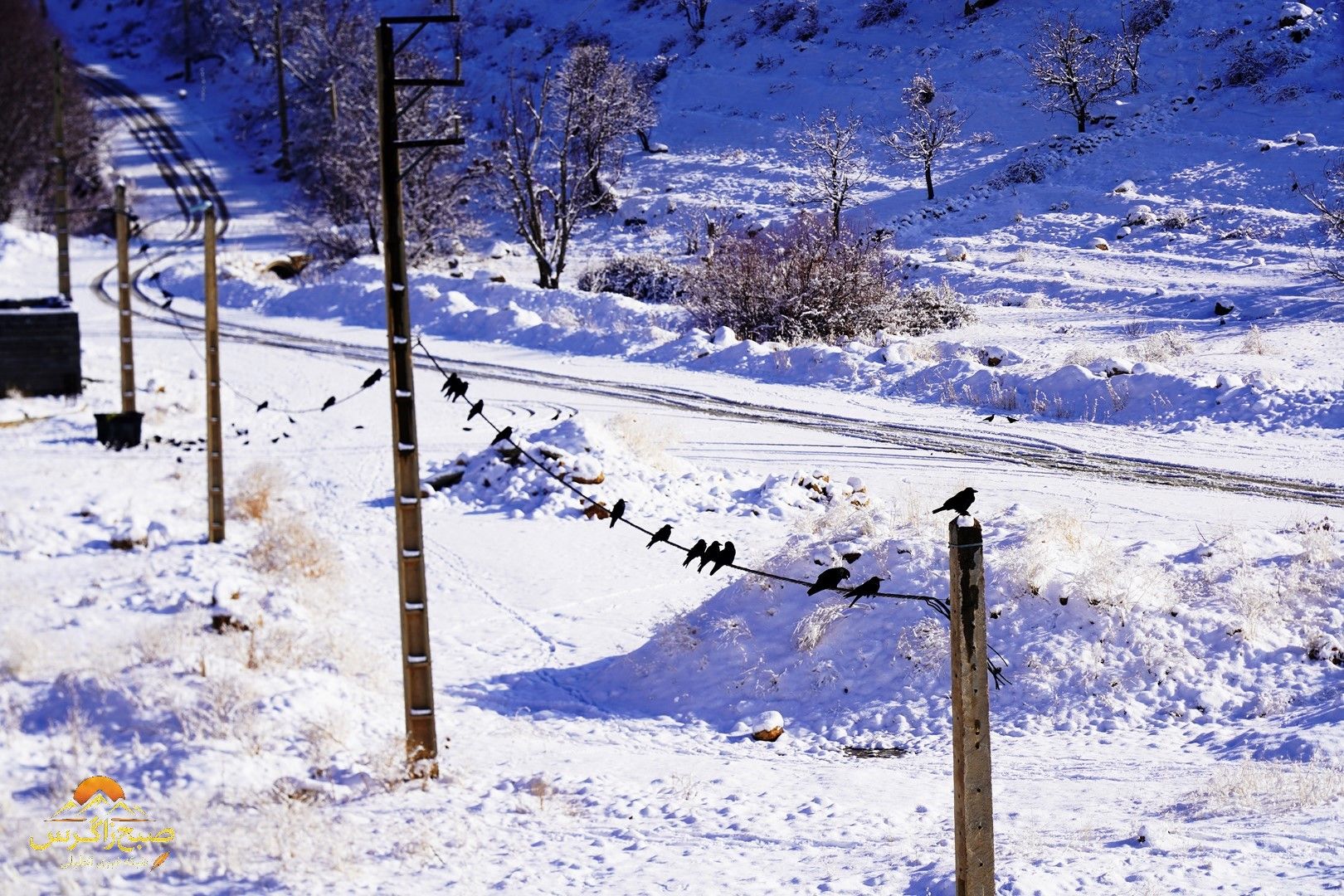 یاسوج زیر چتر برف زمستان+تصاویر