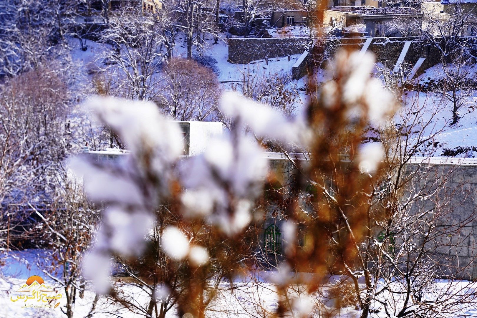 یاسوج زیر چتر برف زمستان+تصاویر