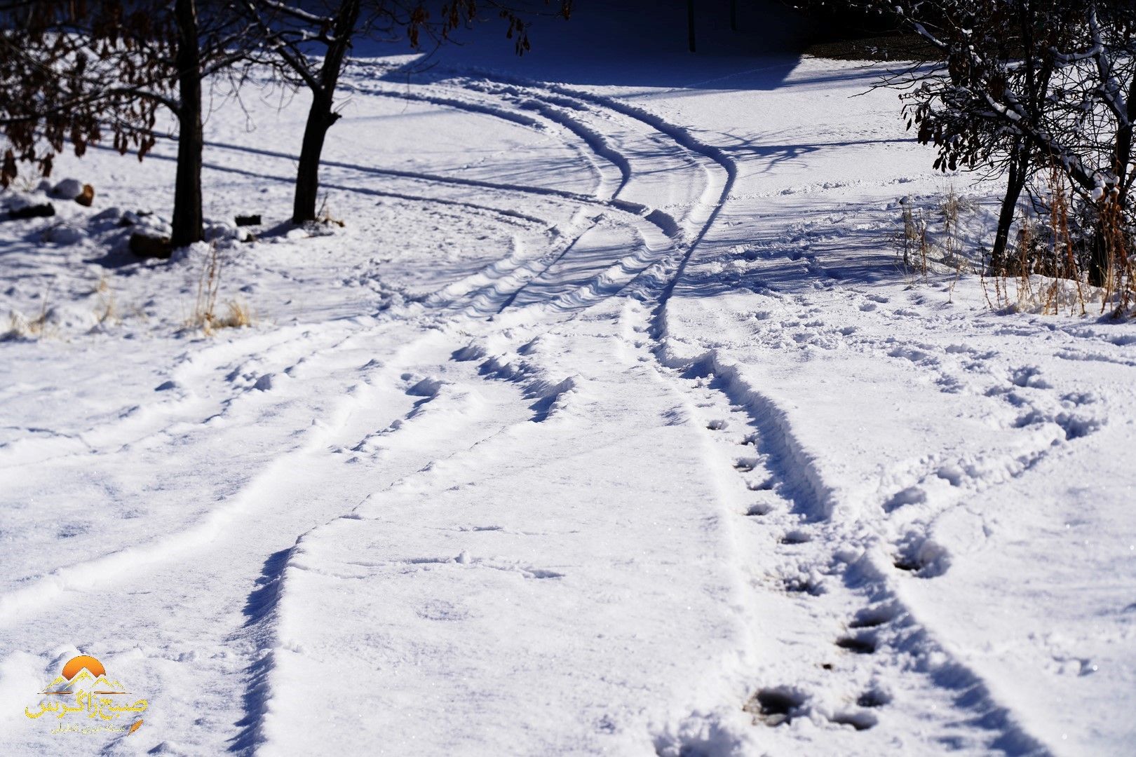 یاسوج زیر چتر برف زمستان+تصاویر