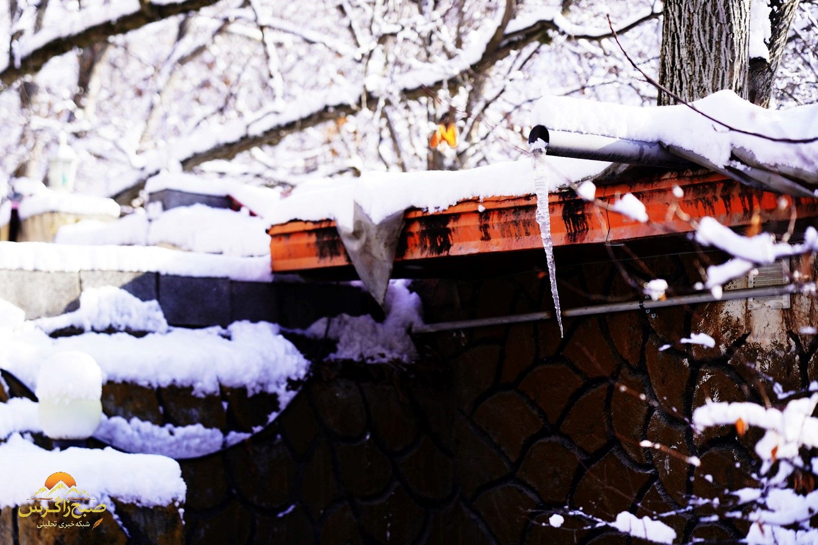 یاسوج زیر چتر برف زمستان+تصاویر