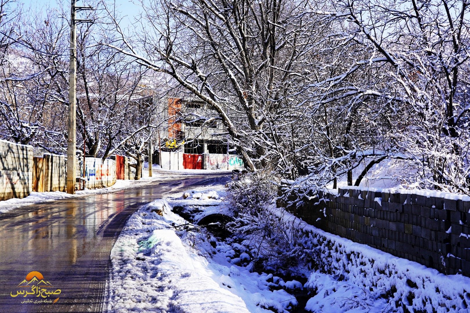 یاسوج زیر چتر برف زمستان+تصاویر