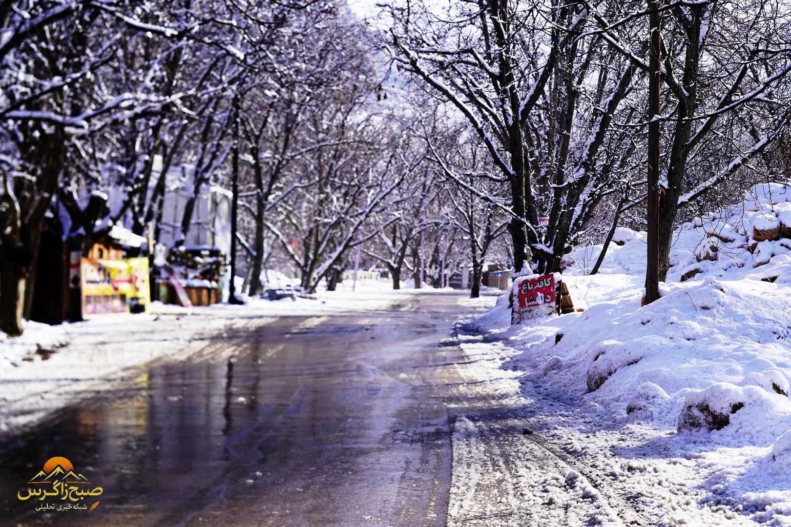 یاسوج زیر چتر برف زمستان+تصاویر