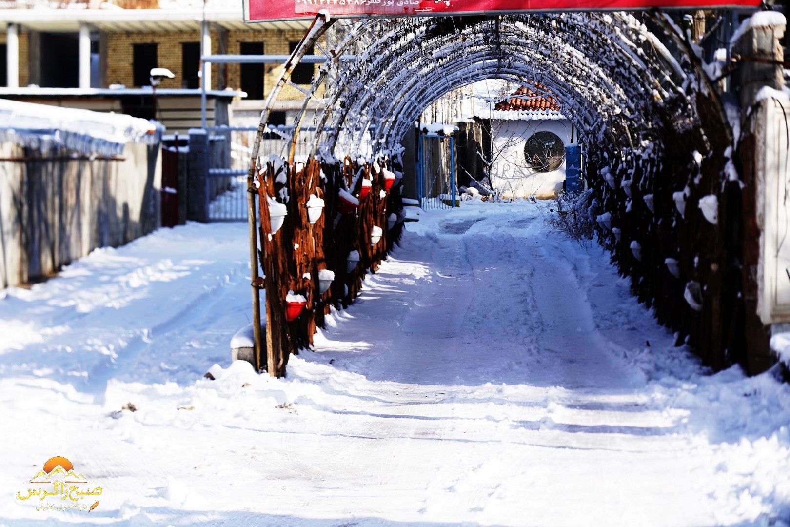 یاسوج زیر چتر برف زمستان+تصاویر