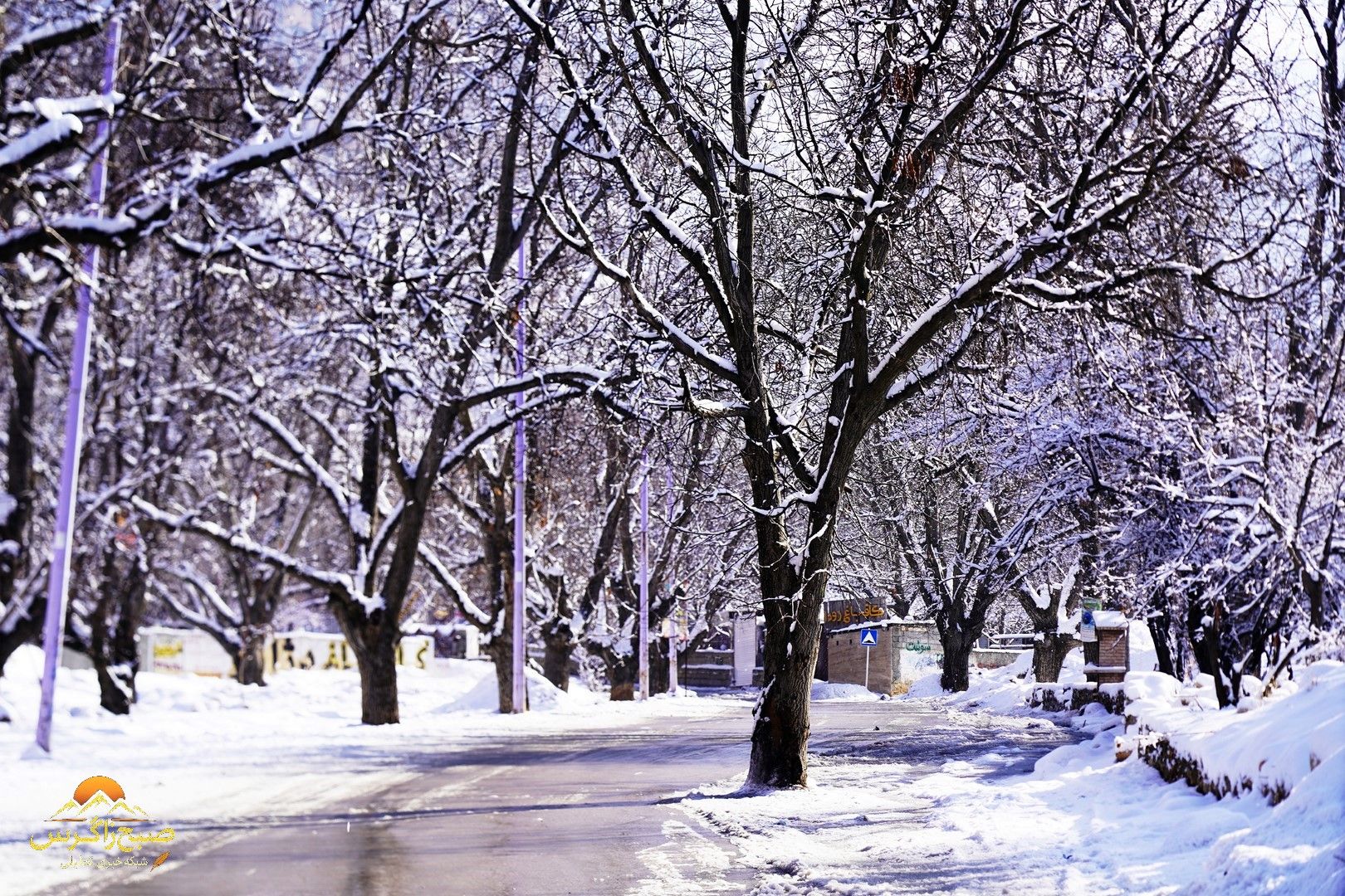 یاسوج زیر چتر برف زمستان+تصاویر