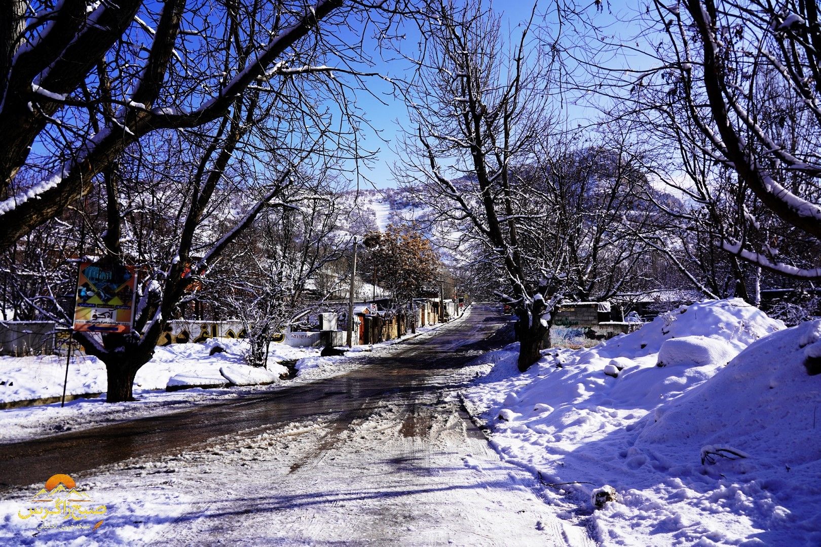 یاسوج زیر چتر برف زمستان+تصاویر