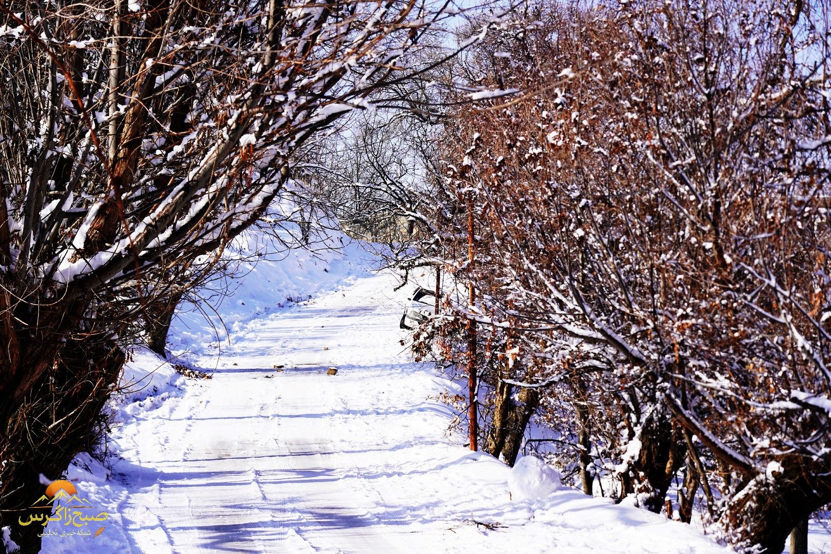 یاسوج زیر چتر برف زمستان+تصاویر