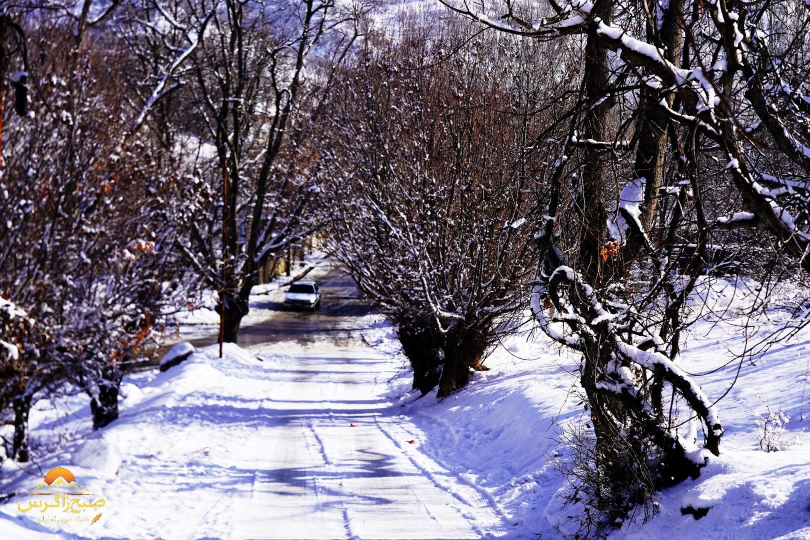 یاسوج زیر چتر برف زمستان+تصاویر