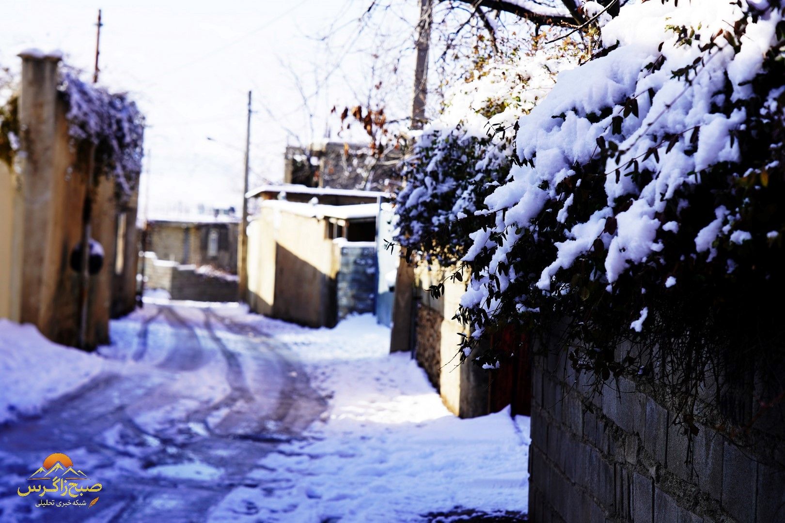 یاسوج زیر چتر برف زمستان+تصاویر