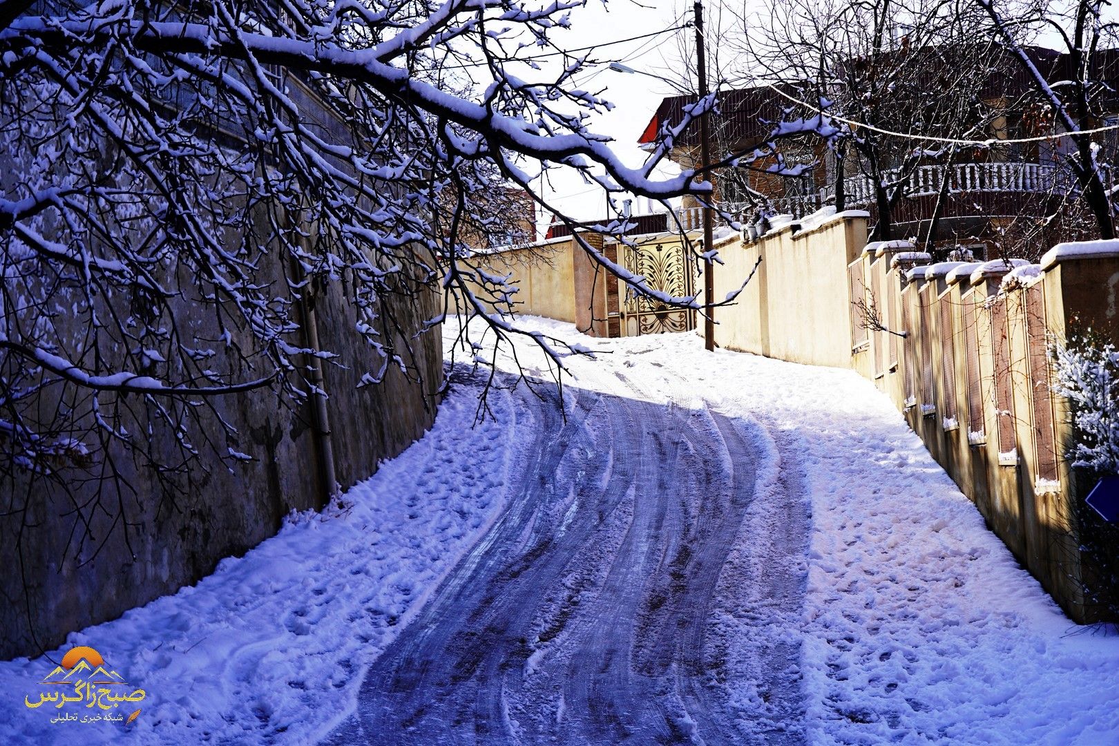 یاسوج زیر چتر برف زمستان+تصاویر