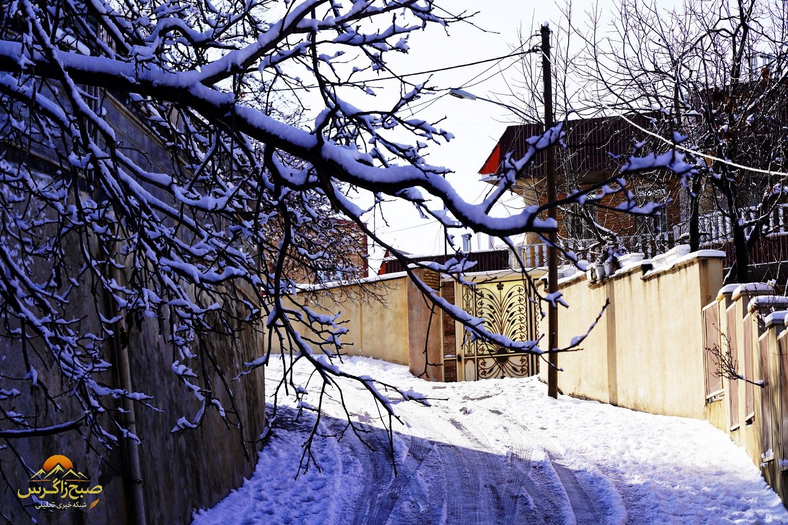 یاسوج زیر چتر برف زمستان+تصاویر