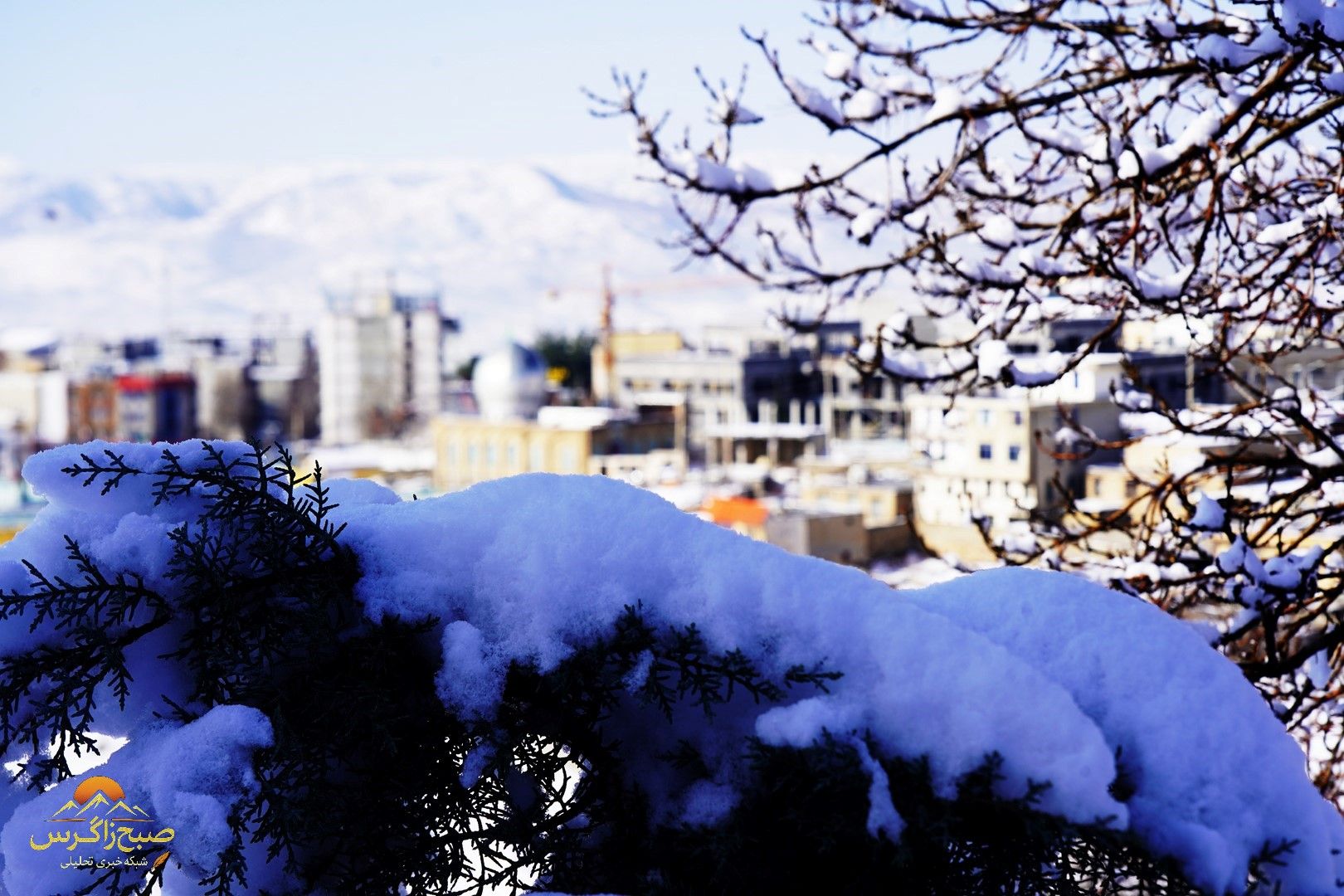 یاسوج زیر چتر برف زمستان+تصاویر