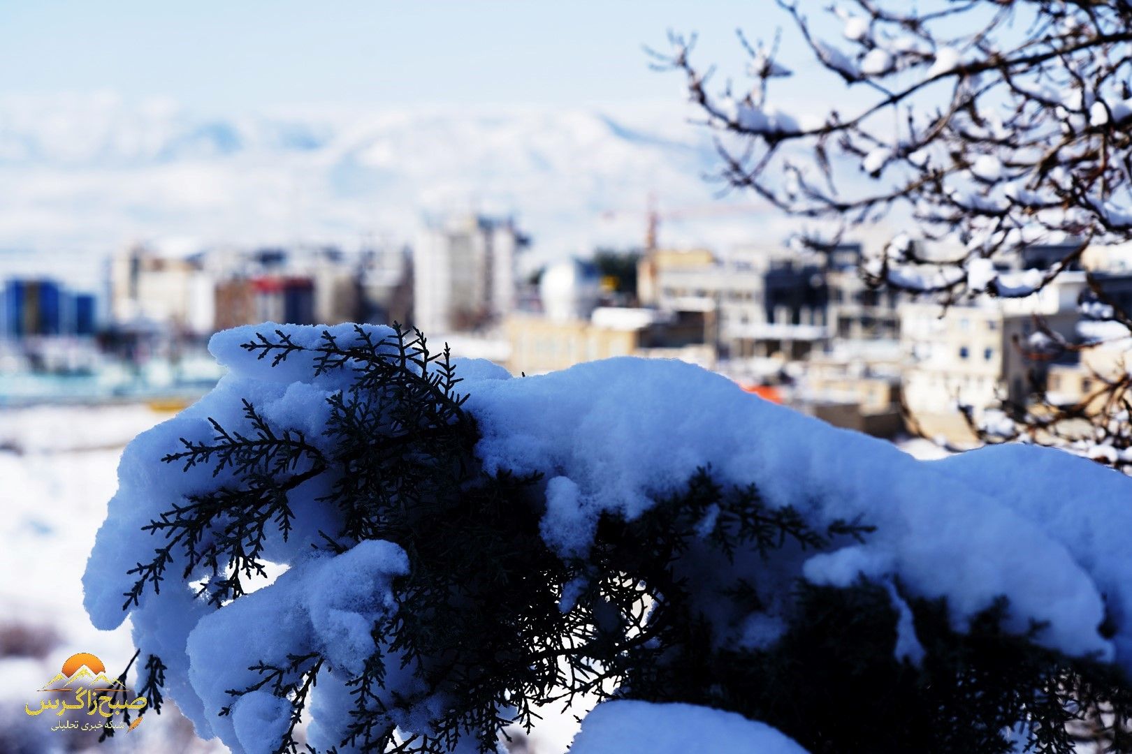 یاسوج زیر چتر برف زمستان+تصاویر