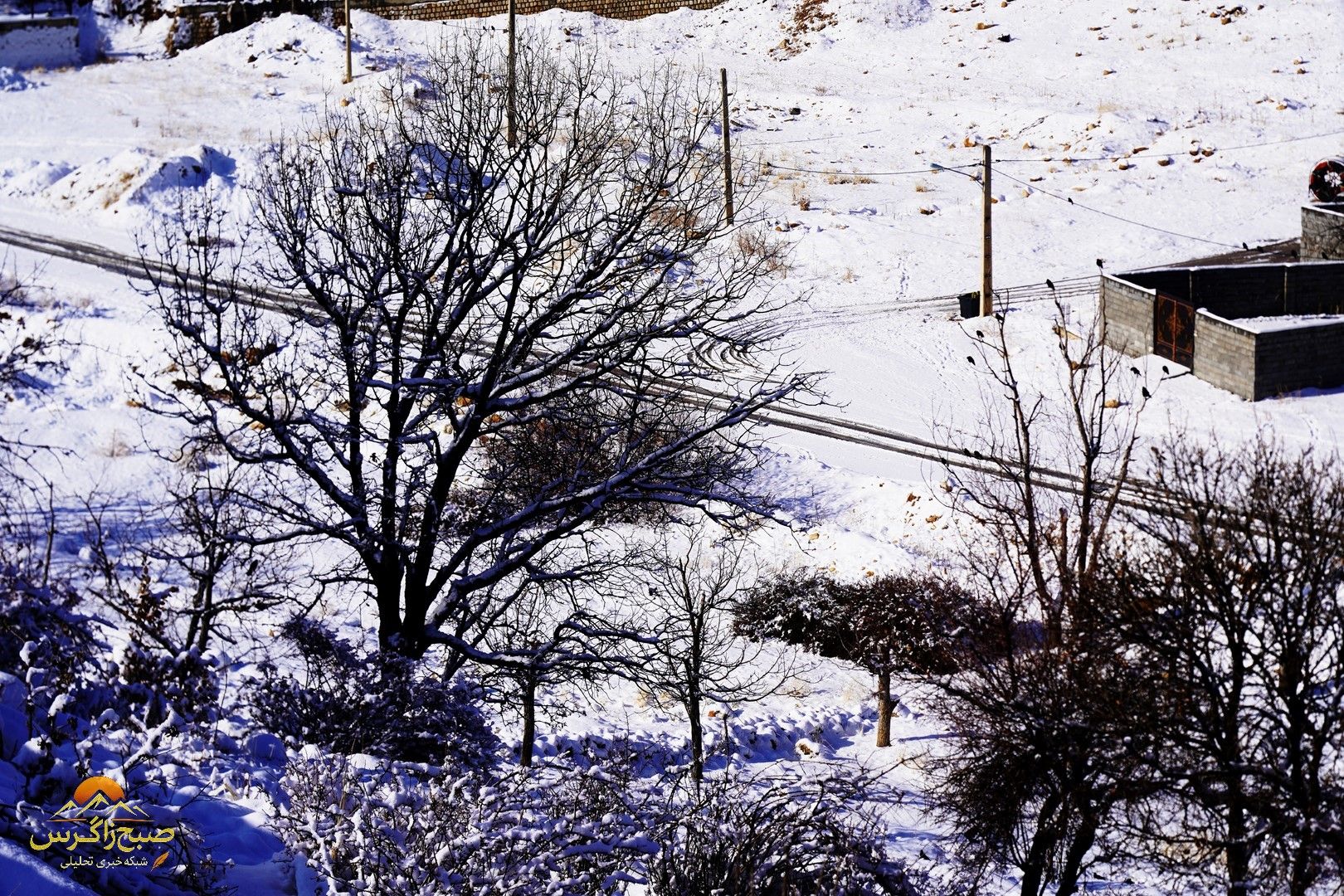 یاسوج زیر چتر برف زمستان+تصاویر