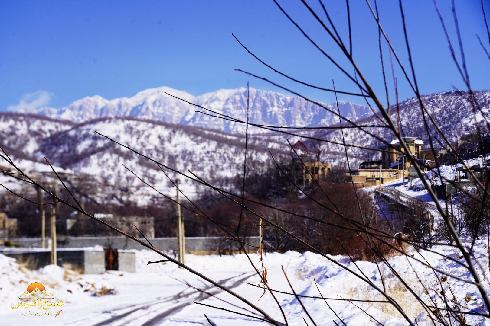 یاسوج زیر چتر برف زمستان+تصاویر