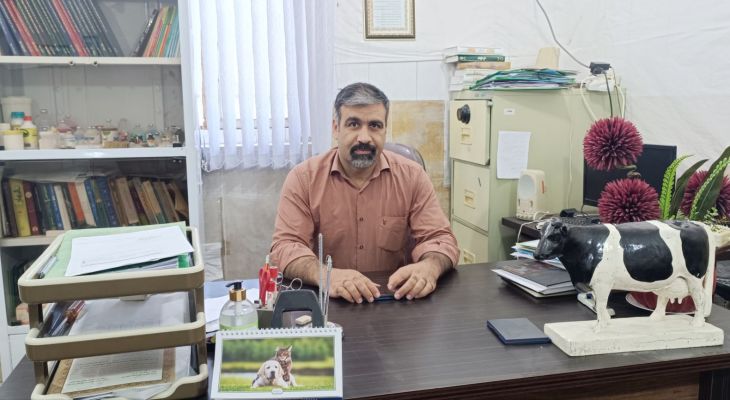 مبارزه با تب‌برفکی در باشت؛ آغاز واکسیناسیون دام‌ها