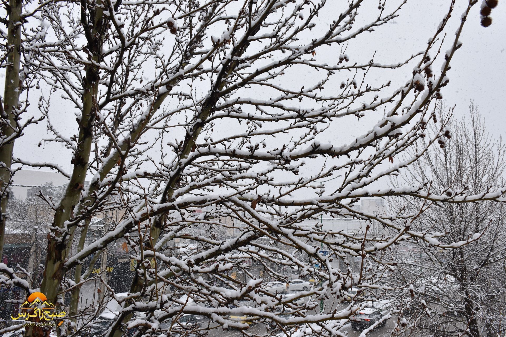 بهمن، قلم‌موی سپیدش را بر بوم یاسوج کشید
