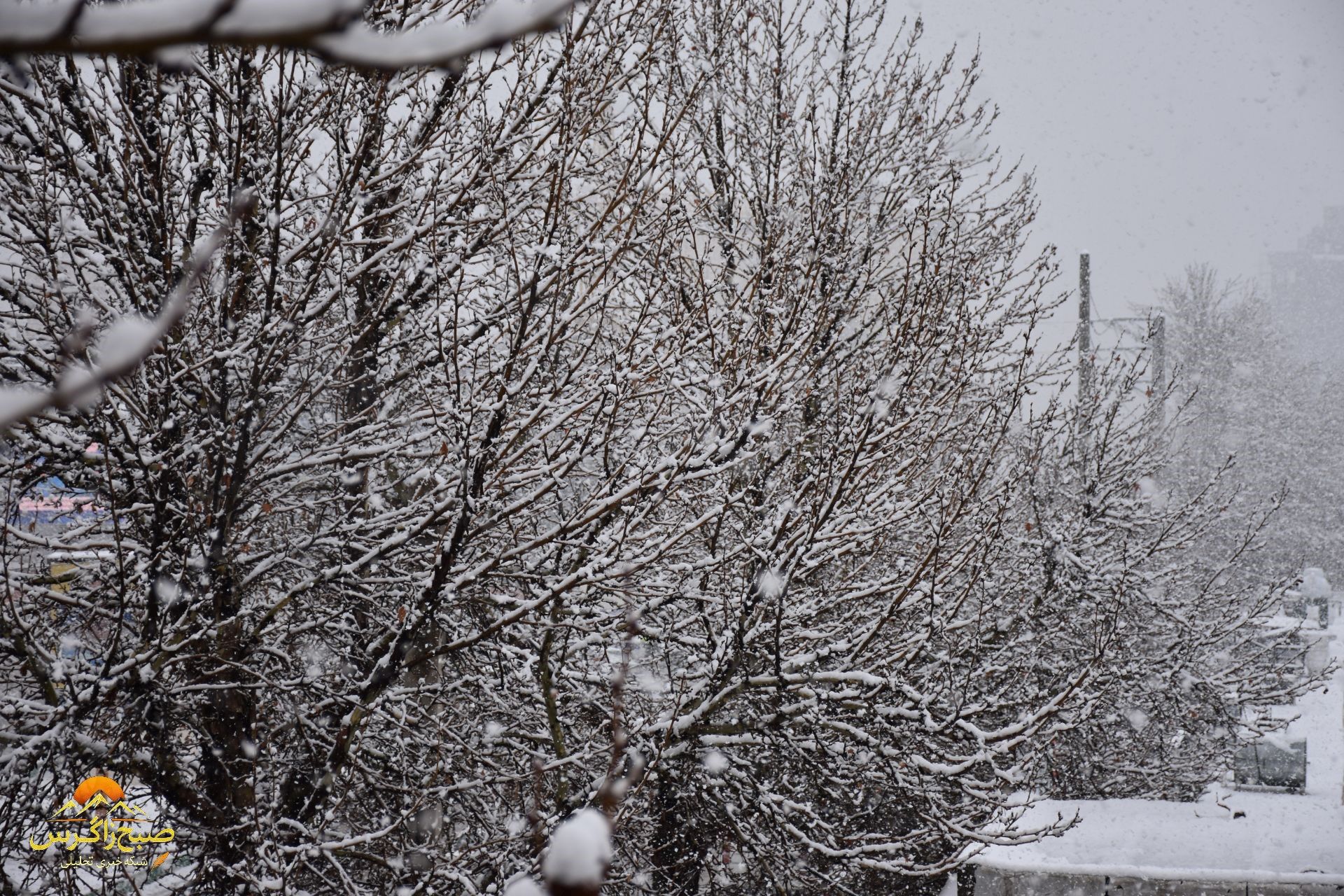 بهمن، قلم‌موی سپیدش را بر بوم یاسوج کشید