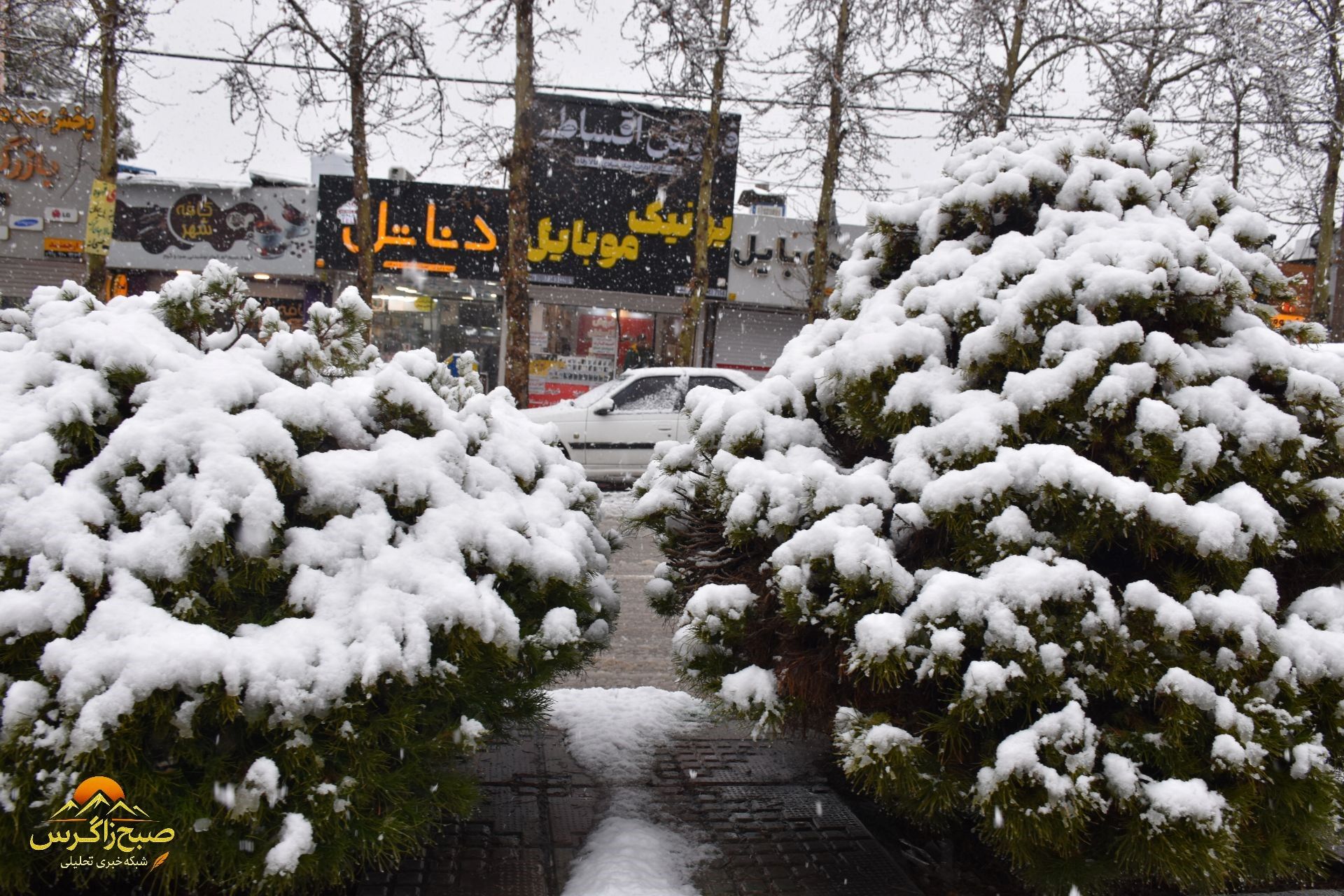 بهمن، قلم‌موی سپیدش را بر بوم یاسوج کشید