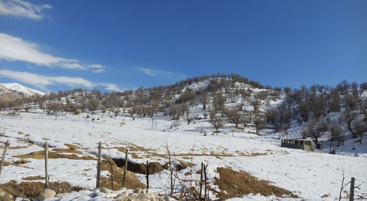 برف، نگین سفید بر انگشتری امامزاده علی(ع)