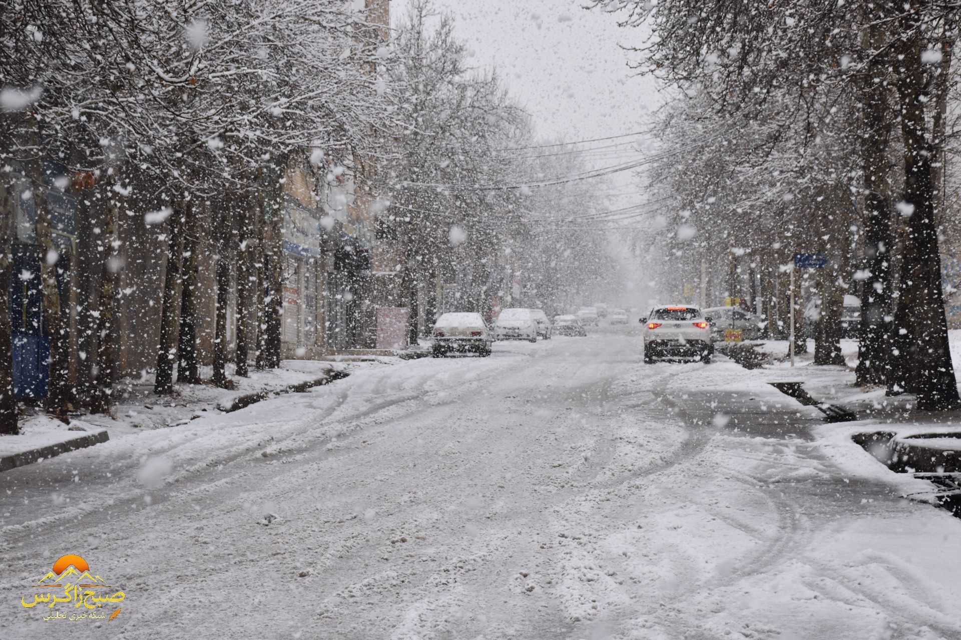 بهمن، قلم‌موی سپیدش را بر بوم یاسوج کشید