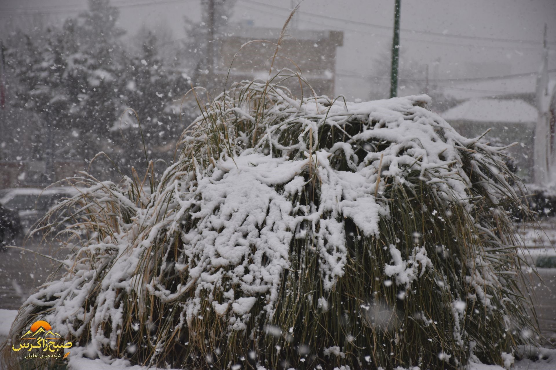بهمن، قلم‌موی سپیدش را بر بوم یاسوج کشید