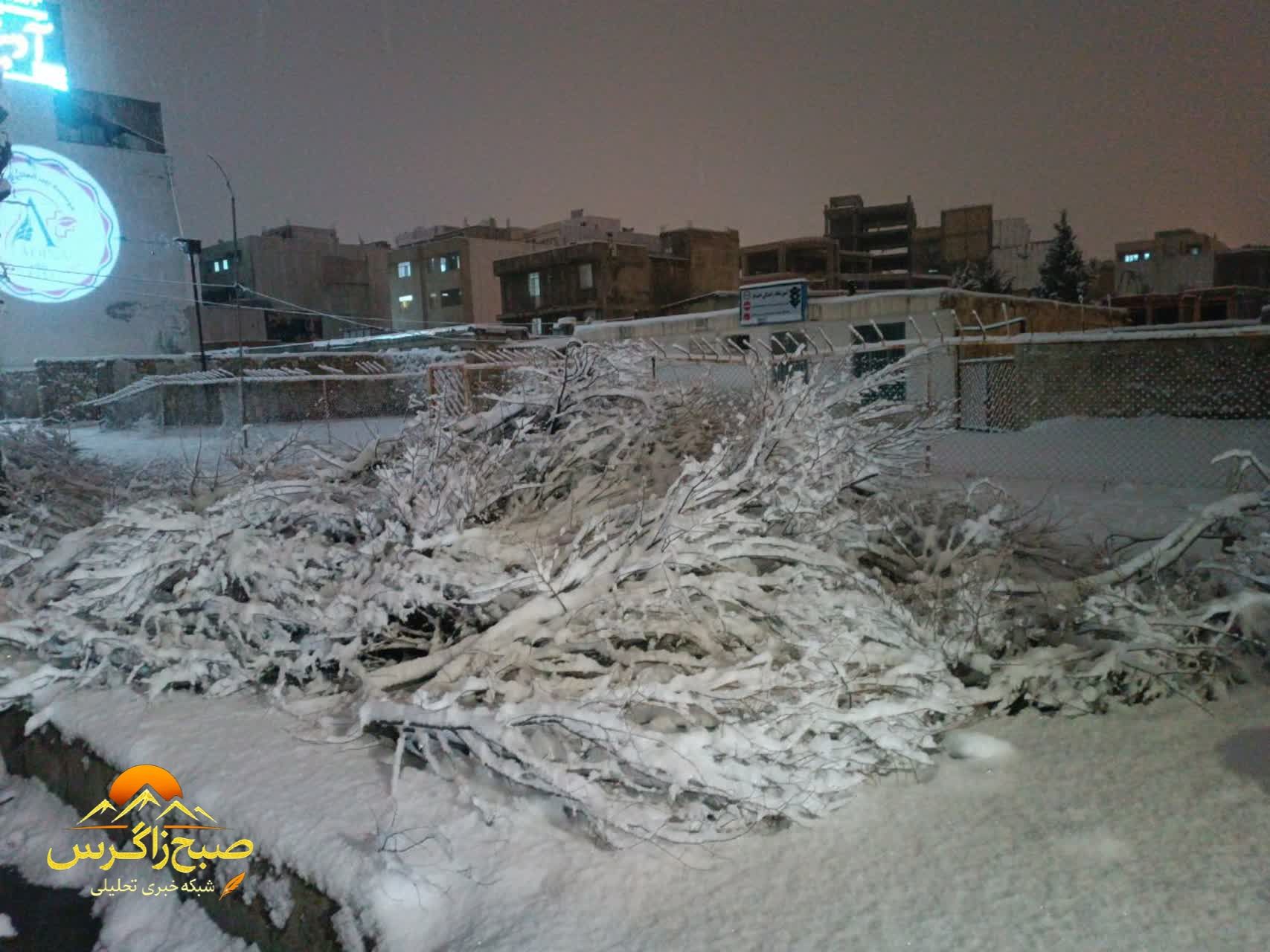 یاسوج در قاب یک شب زمستانی