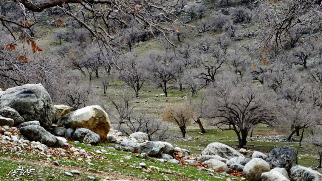 تابلوی چشم‌نواز طبیعت در «گناوه» گچساران
