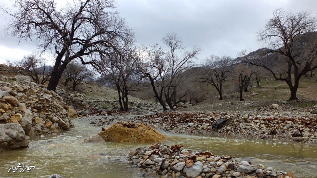 تابلوی چشم‌نواز طبیعت در «گناوه» گچساران
