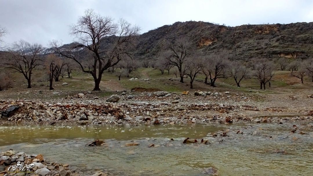 تابلوی چشم‌نواز طبیعت در «گناوه» گچساران