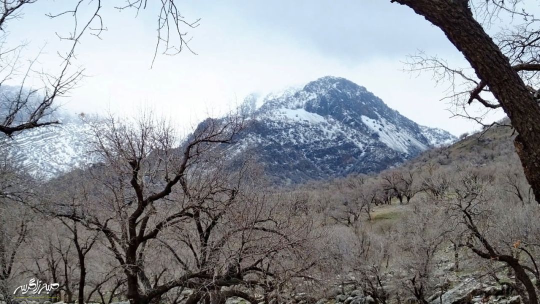 تابلوی چشم‌نواز طبیعت در «گناوه» گچساران