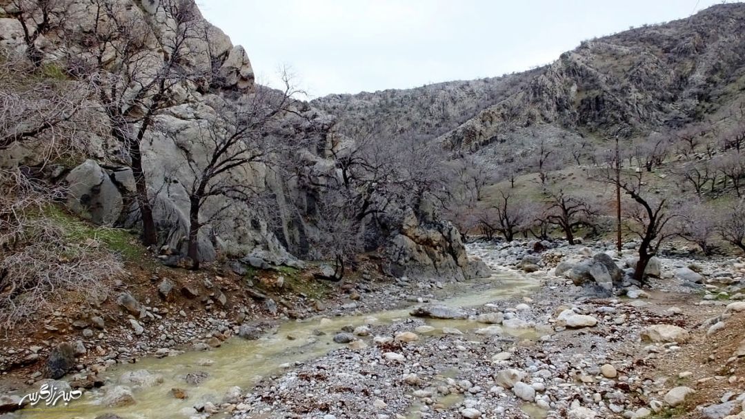 تابلوی چشم‌نواز طبیعت در «گناوه» گچساران