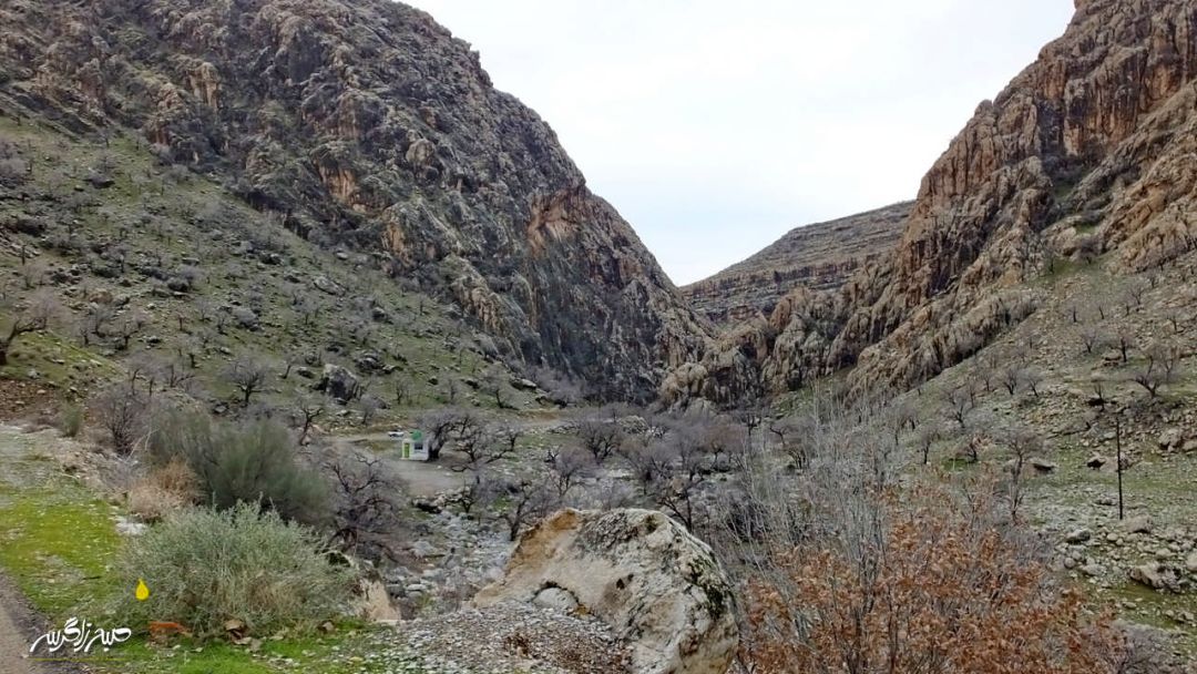 تابلوی چشم‌نواز طبیعت در «گناوه» گچساران