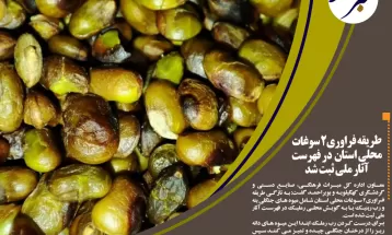 اشتغالزایی 950نفر باتوسعه گیاهان دارویی در استان