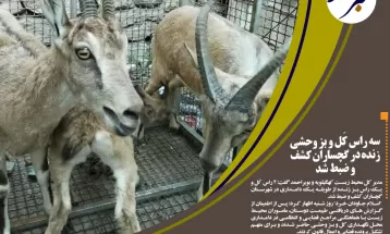 هزینه ۳۶۰ میلیاردریالی برای رفع تنش آبی گچساران