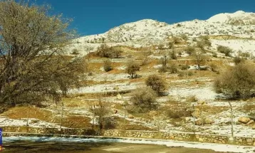 دنای سفیدپوش پس از بارش برف زمستانی